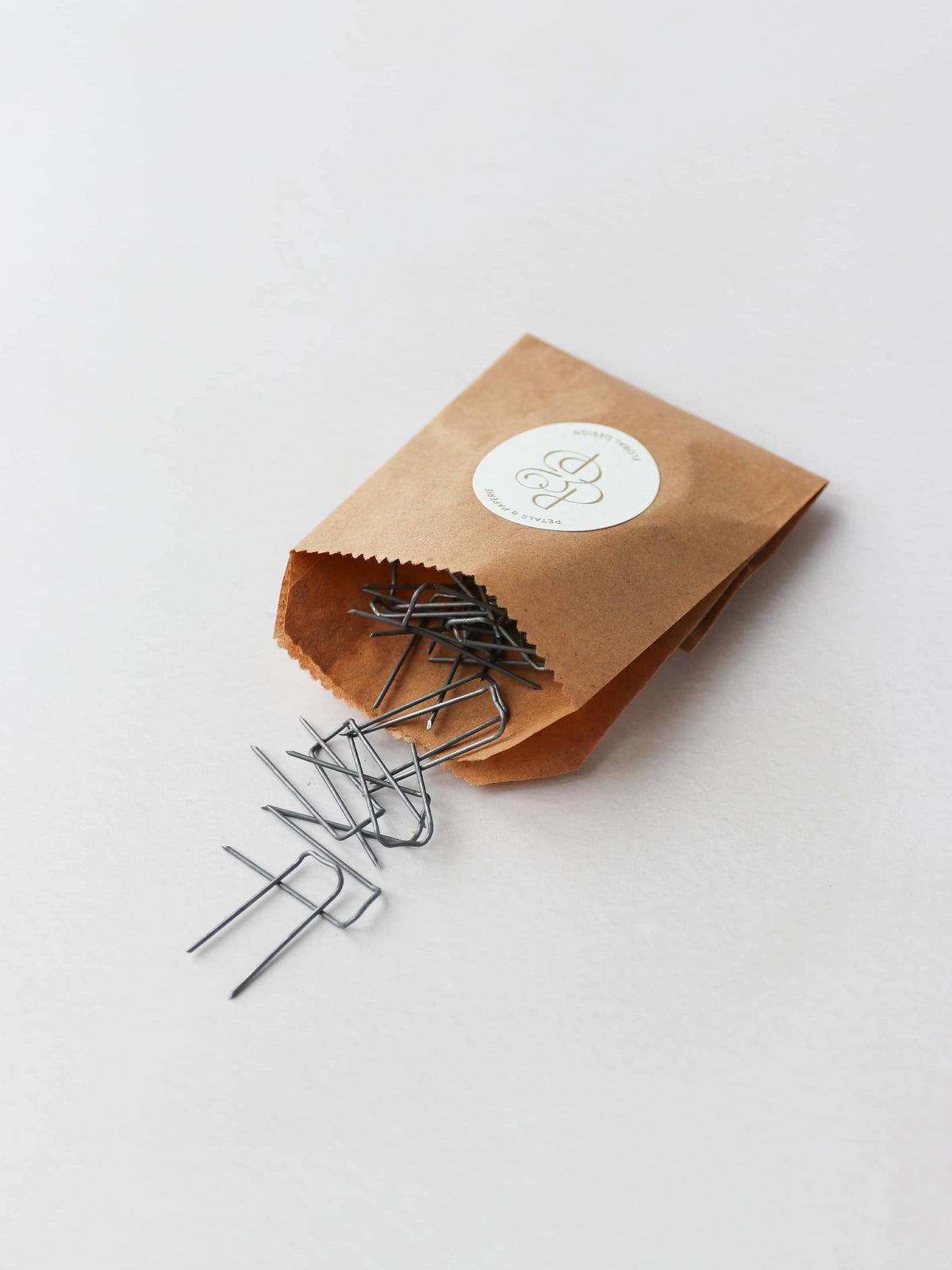 A kraft paper bag containing metal mossing pins sitting on a neutral background.